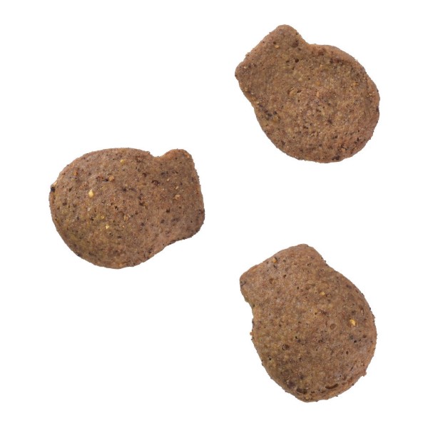 Фото - Ласощі для котів Brit Care Superfruits Snack Herring з оселедецем і обліпихою 100 г (8595602555710)