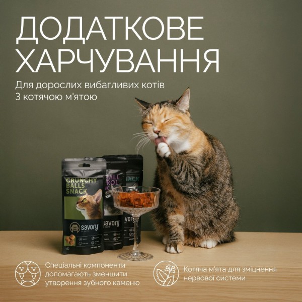 Фото - Ласощі для котів Savory Cats Snacks Crunchy Balls 60 г (4820261921335)