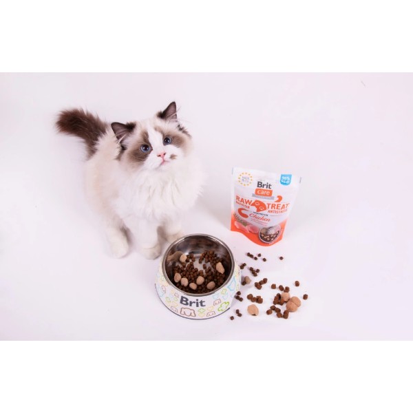 Фото - Лакомство для кошек Brit Raw Treat Freeze-dried Indoor and Antistress курица 40 г (8595602569557)