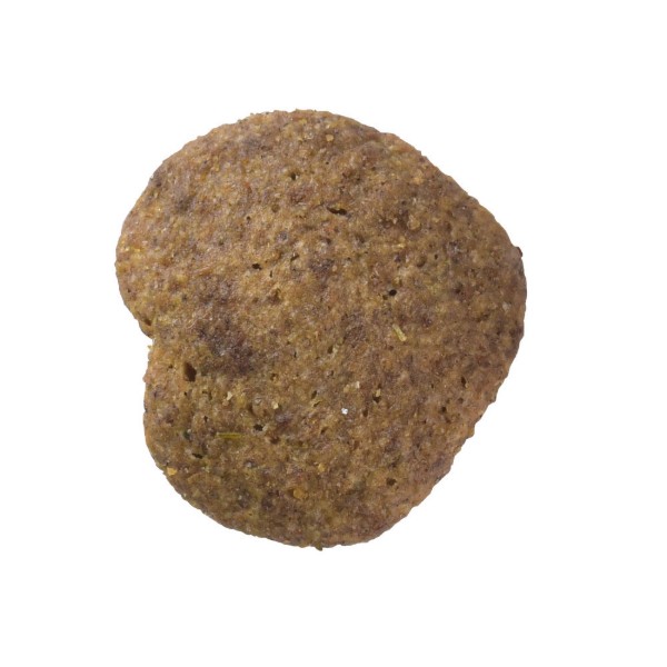 Фото - Ласощі для котів подушечки Brit Care Superfruits Snack Insect з комахами кокосом і шипшиною 100 г (8595602555703)