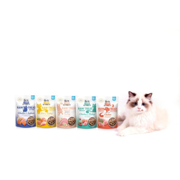 Фото - Ласощі для котів подушечки Brit Care Raw Treat Freeze-dried Hair and Skin риба та індичка 40 г (8595602569564)