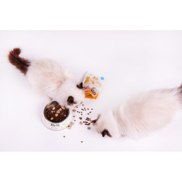Фото - Ласощі для котів подушечки Brit Care Raw Treat Freeze-dried Hair and Skin риба та індичка 40 г (8595602569564)