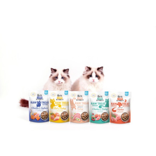 Фото - Ласощі для котів подушечки Brit Care Raw Treat Freeze-dried Sensitive з чутливим травленням індичка 40 г (8595602569571)