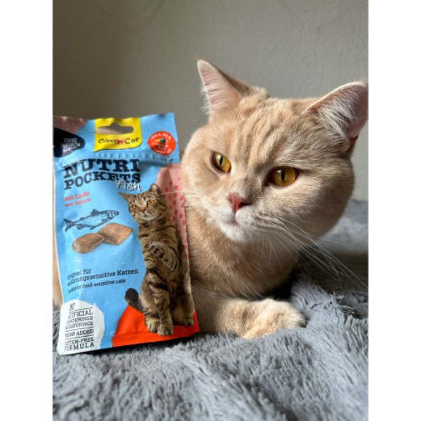 Фото - Ласощі для котів GimCat Nutri Pockets Рибні Лосось 60 г (4002064419626)