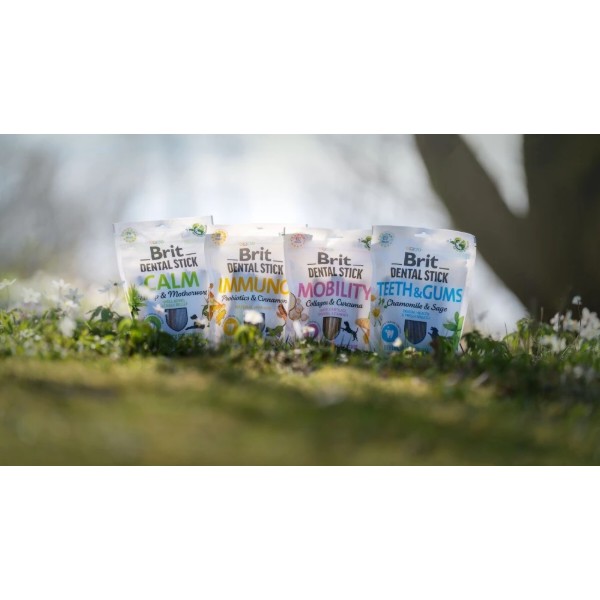 Фото - Ласощі для собак Brit Care Dental Stick Teeth and Gums для дорослих з ромашкою та шавлією для здоров я ясен і зубів 7 шт. 251 г (8595602564354)