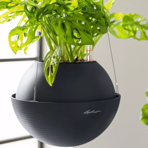 Фото - Вазон Lechuza Bola Color 32 серый (16864)