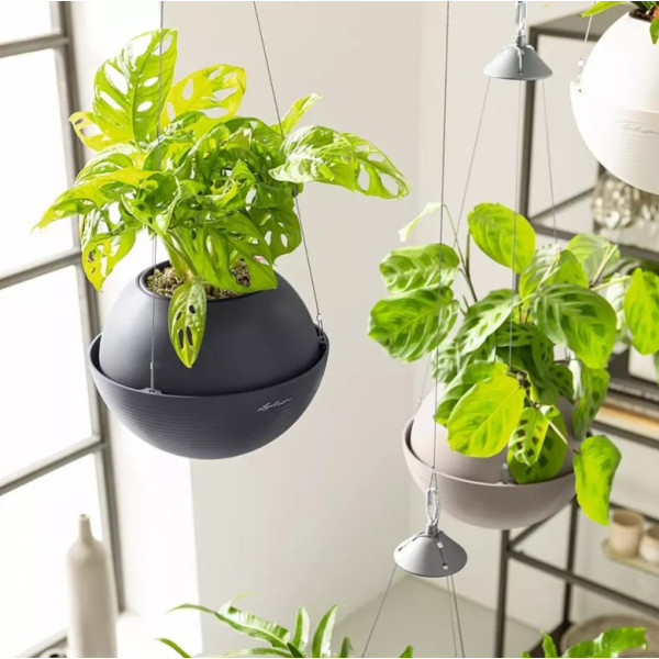 Фото - Вазон Lechuza Bola Color 32 серый (16864)