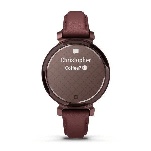 Фото - Смарт-часы Garmin Lily 2 Classic DarkBronze/Mulberry (010-02839-03)