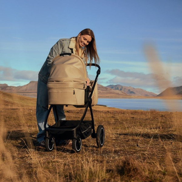 Фото - Коляска універсальна 2 в 1 Lionelo Meril Grey Stone