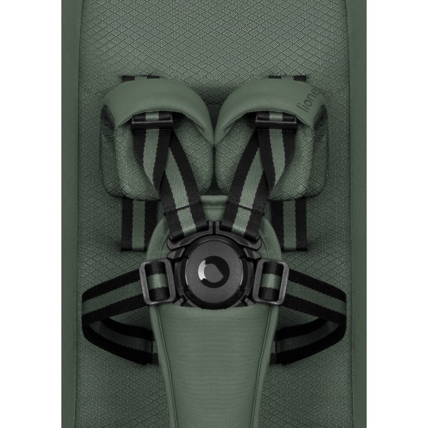 Фото - Коляска універсальна 2 в 1 Lionelo Sia Flex Green Emerald