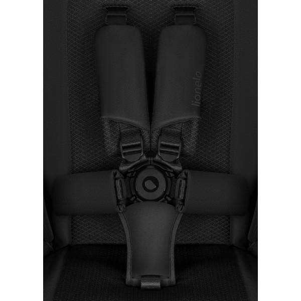 Фото - Коляска універсальна 2 в 1 Lionelo FREYA BLACK ONYX