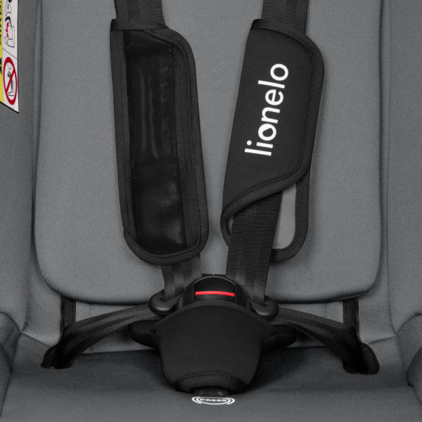 Фото - Автокресло Lionelo IZZY I-SIZE BLACK GREY