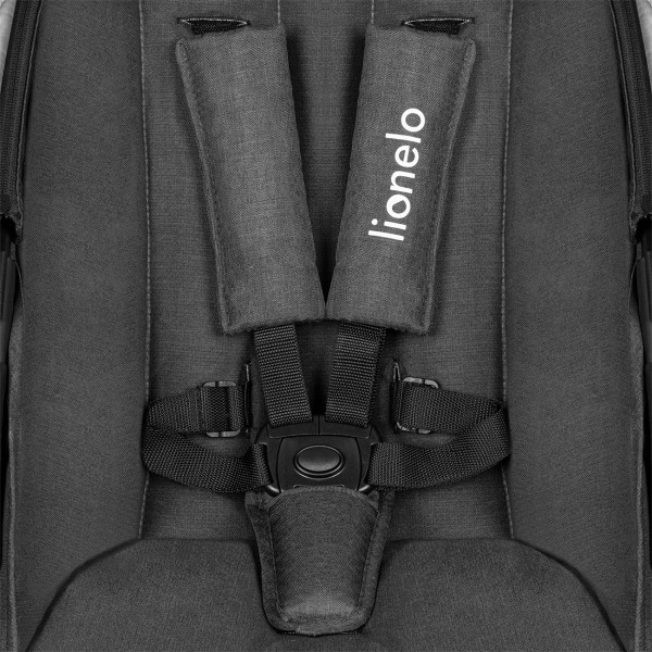 Фото - Коляска универсальная 2 в 1 Lionelo Amber Dreamin