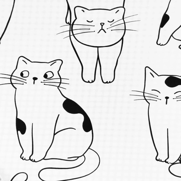 Фото - Комплект постельного белья Love You 200×220 сатин 200TC Meow (ly32090)