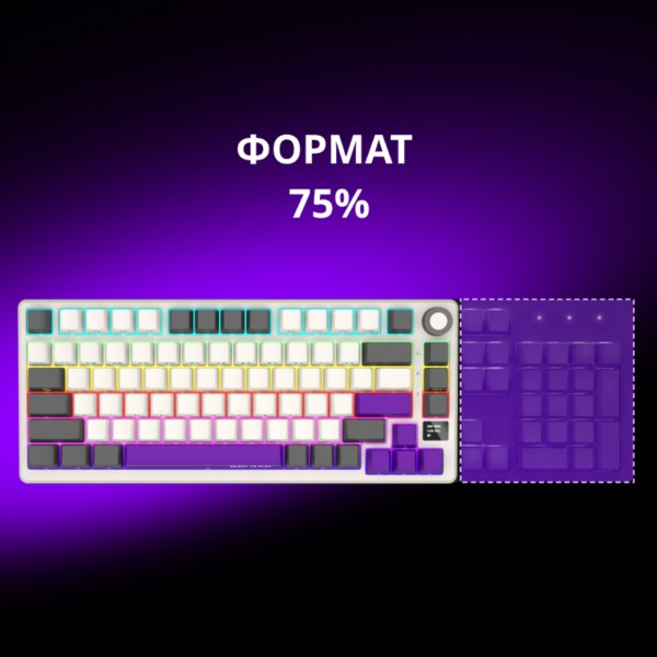 Фото - Клавиатура беспроводная игровая Lorgar KBP7075W Wireless Gaming Mechanical Pro Beige (LRG-KBP7075W-RT-US)