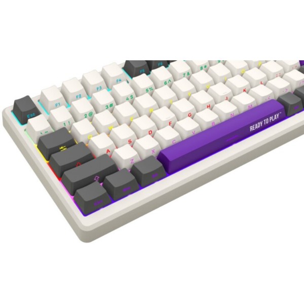 Фото - Клавиатура беспроводная игровая Lorgar KBP7075W Wireless Gaming Mechanical Pro Beige (LRG-KBP7075W-RT-US)