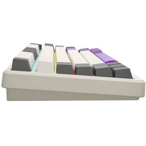 Фото - Клавиатура беспроводная игровая Lorgar KBP7075W Wireless Gaming Mechanical Pro Beige (LRG-KBP7075W-RT-US)