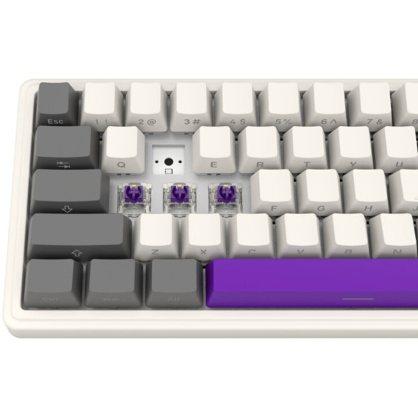 Фото - Клавиатура беспроводная игровая Lorgar KBP70MW Wireless Mechanical Pro Beige (LRG-KBP70MW-RT-US)