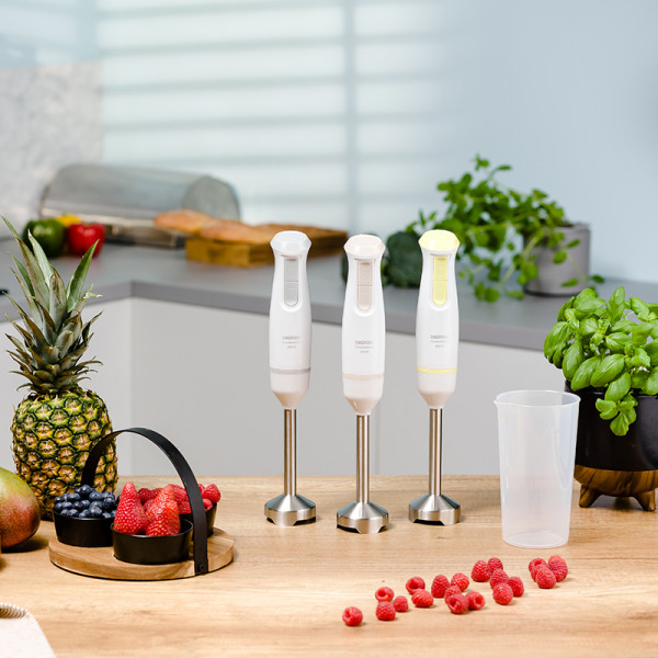 Фото - Блендер погружной Zelmer ZHB4561I