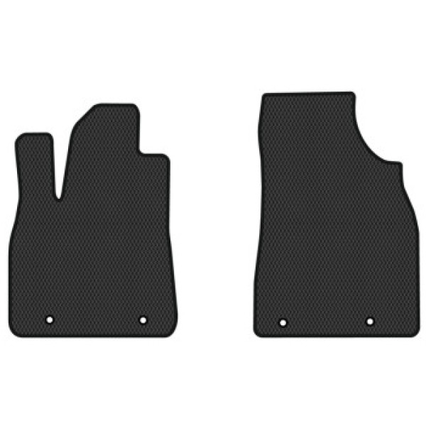 Фото - EVA килимки в салон авто передні EVAtech для RX 350 (AL10) Lexus 2009-2015 3 покоління SUV USA LS22127AV2TL4RBB