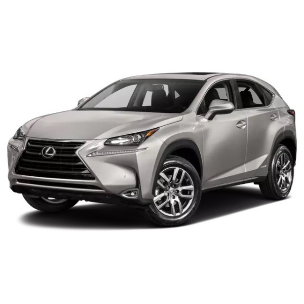 Фото - EVA коврик в багажник авто EVAtech для NX 300h (AZ10) Lexus 2014-2021 1 поколение SUV USA (LS24024B1RBB)