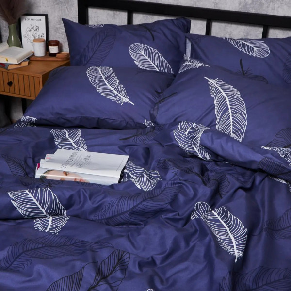 Фото - Комплект постельного белья Moon&Star Микросатин Premium Night Feathers 160х220х2 см нав. 2х40х60 (MS-820007975)