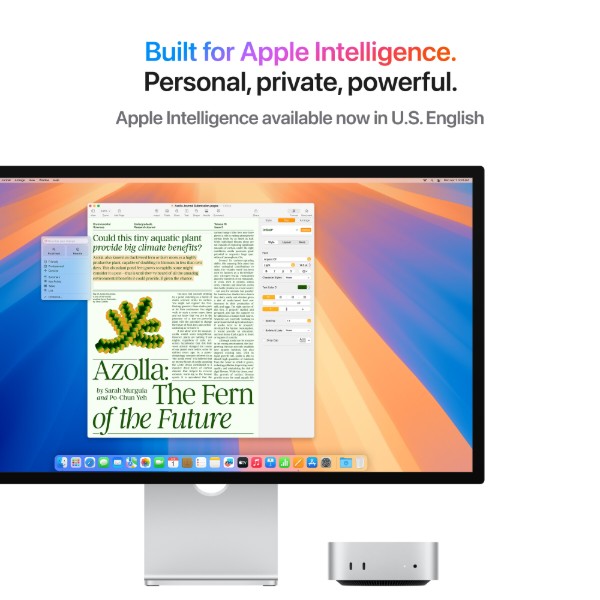 Фото - Настільний комп'ютер Apple Mac mini M4 A3238 10-Core CPU 10-Core GPU 16GB/256GB (MU9D3)