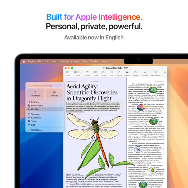 Фото - Ноутбук Apple MacBook Air 13" M4 16GB/256GB Sky Blue (Восстановленный, Почти новый)