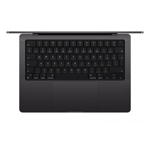 Фото - Ноутбук Apple MacBook Pro 14'' M4 Max 14-core CPU 32-core GPU 36Gb 1Tb MX2K3 Space Black
