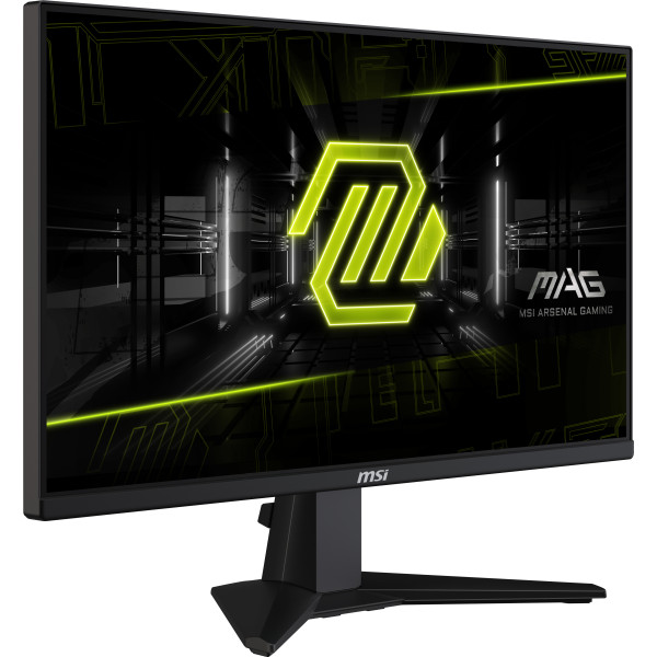 Фото - Монитор игровой MSI MAG 255F E20