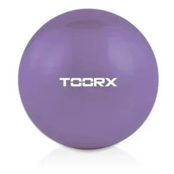 Фото - Массажный мяч Toorx Toning 1,5 кг Viola (AHF-066)