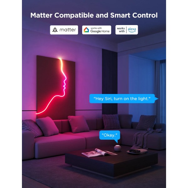 Фото - Светодиодная лента Govee H61D3 Neon Rope Light RGBIC WI-FI/Bluetooth White 2,5 m (H61D5301)