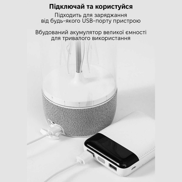 Фото - Ночник INSPIRE MAX113