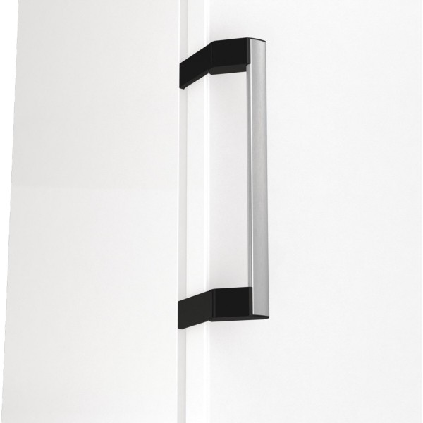 Фото - Морозильная камера Gorenje FN619EAW6