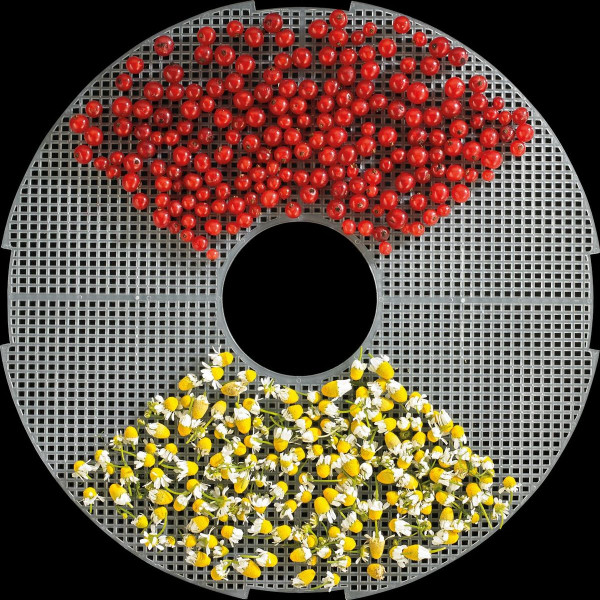 Фото - Сушарка для фруктів та овочів Gorenje FDK24DW