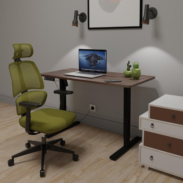 Фото - Стіл з електрорегулюванням висоти Mealux PowerDesk Lite Walnut + Leo Air Plus Green (EVO-201 Lite Walnut /B +Y 546 KZ)