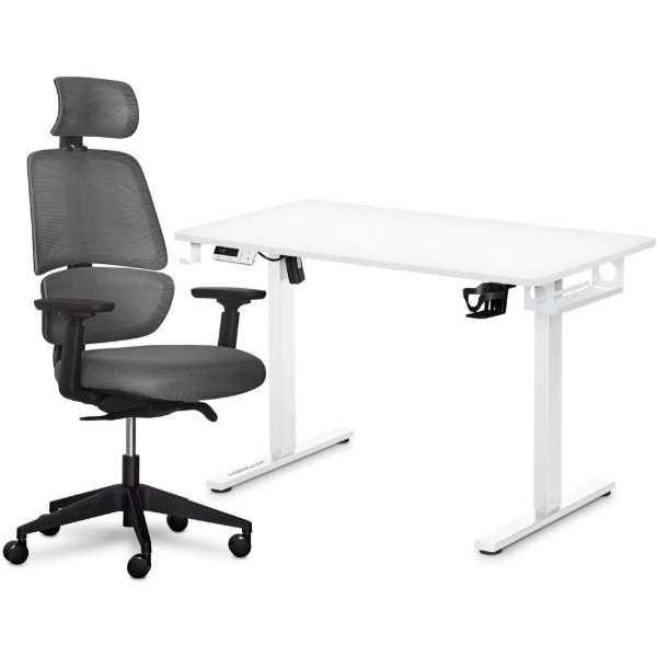 Фото - Стіл з електрорегулюванням висоти Mealux PowerDesk Lite White + Leo Air Plus Grey (EVO-201 Lite W/W+Y 546 KBG)