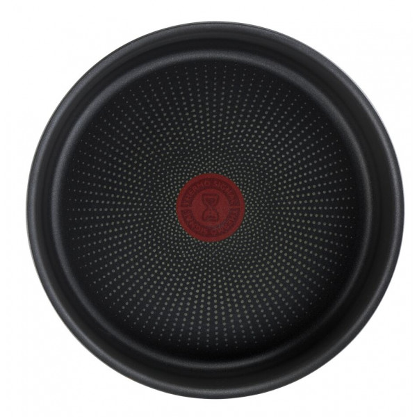 Фото - Набор посуды со съемной ручкой Tefal L7629142  Ingenio Daily Chef 10 пр