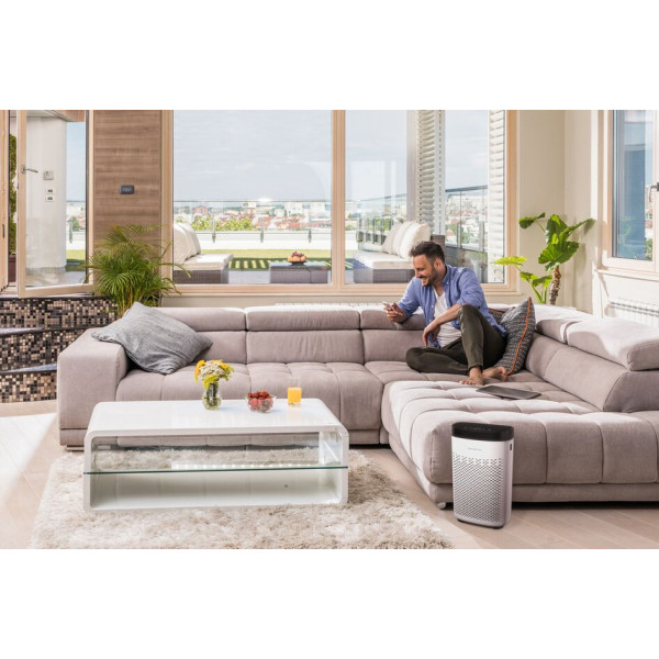 Фото - Очищувач повітря Rowenta PU2530FO