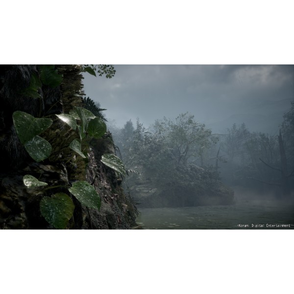 Фото - Ігровий диск PS5 Metal Gear Solid Delta: Snake Eater [Day One Edition]