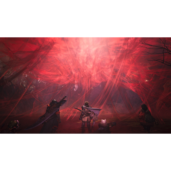 Фото - Ігровий диск PS5 Monster Hunter Wilds