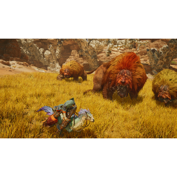 Фото - Ігровий диск PS5 Monster Hunter Wilds