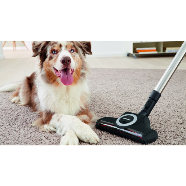 Фото - Пилосос для сухого прибирання з мішком Miele SGEF3 BRRT (cat/dog)