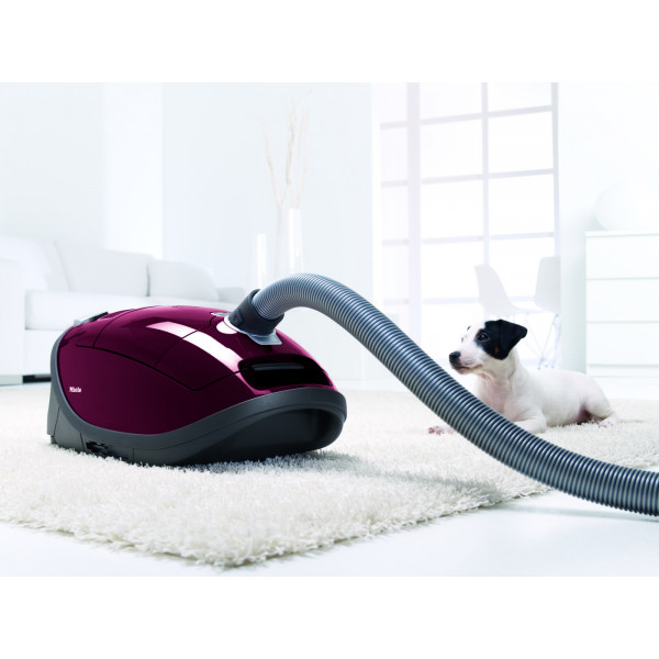 Фото - Пилосос для сухого прибирання з мішком Miele SGEF3 BRRT (cat/dog)