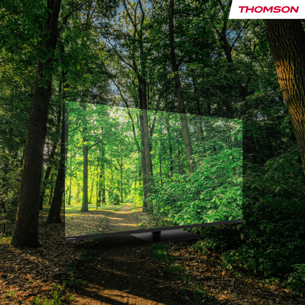 Фото - Телевизор Thomson 43MG7C15