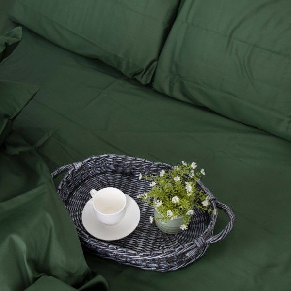 Фото - Комплект постельного белья MirSon Royal Soft 0844 Green Olive 2x143x210 (2200008069353)