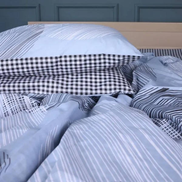 Фото - Комплект постільної білизни MirSon Ranforce Elite 17-0748 Circles in Checks 220х240 (2200010847796)