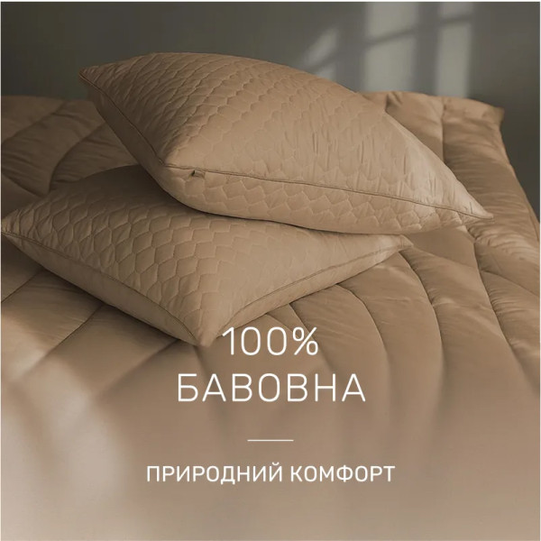 Фото - Ковдра зимова двоспальна євро MirSon 3M Thinsulate №1335 Carmela 220x240 см (2200001530676)