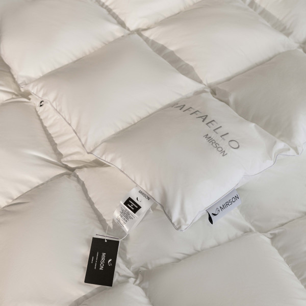 Фото - Ковдра зимова двоспальна євро MirSon пухова Raffaello 053 200x220 см (2200000018168)