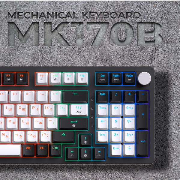 Фото - Клавиатура проводная игровая GamePro MK170B Hot-Swap Red Swich RGB Black (MK170B)